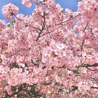 IMG_0014.jpeg