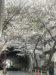 IMG_0322.jpeg